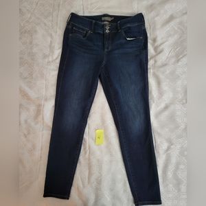 Torrid Jeans
